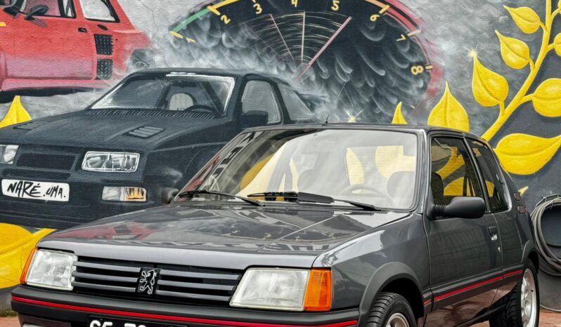 Peugeot 205 1.9 GTi cheio
