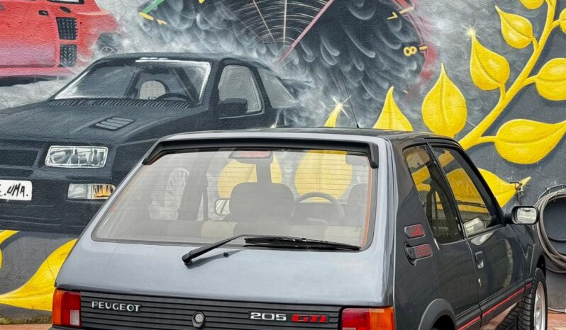 Peugeot 205 1.9 GTi cheio