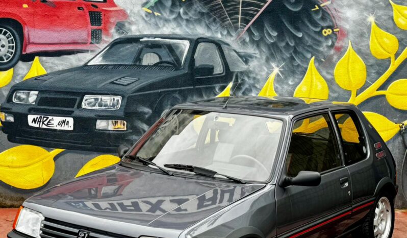 Peugeot 205 1.9 GTi cheio