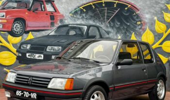 Peugeot 205 1.9 GTi cheio