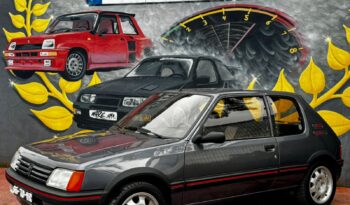 Peugeot 205 1.9 GTi cheio