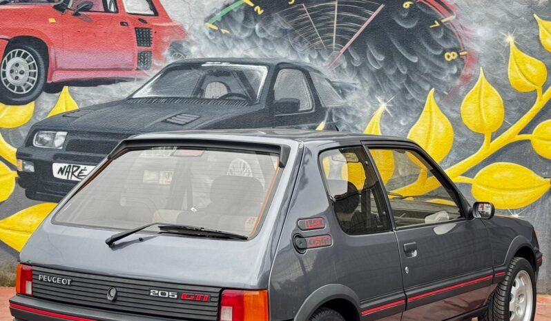 Peugeot 205 1.9 GTi cheio